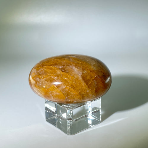 Golden Healer Palm Stone Madagascar