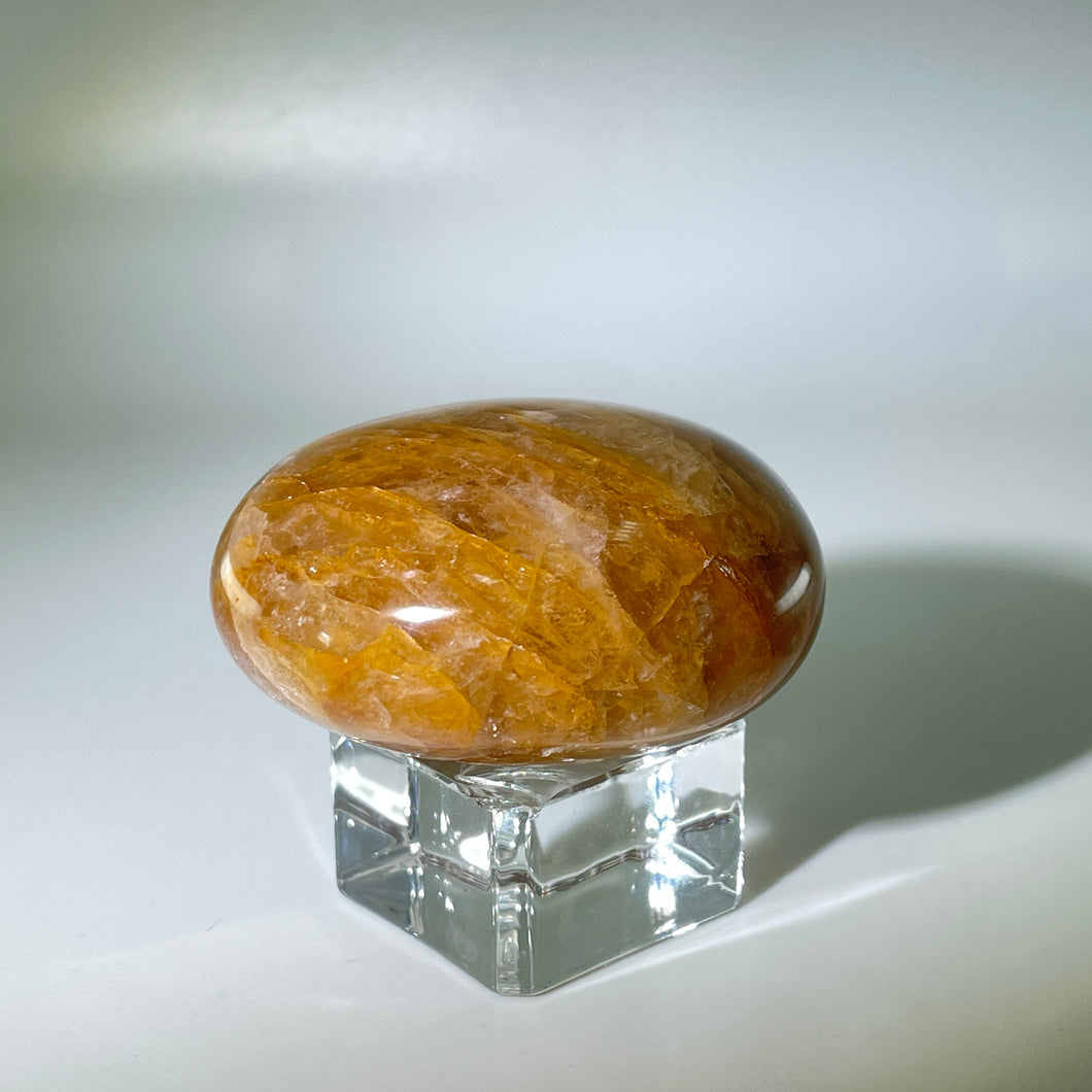 Golden Healer Palm Stone Madagascar