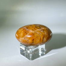 Load image into Gallery viewer, Golden Healer Palm Stone Madagascar
