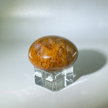 Load image into Gallery viewer, Golden Healer Palm Stone Madagascar
