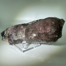 Load image into Gallery viewer, Shaman&#39;s Dream Brazil
