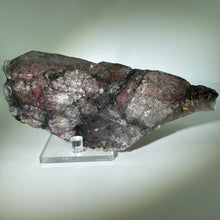 Load image into Gallery viewer, Shaman&#39;s Dream Brazil
