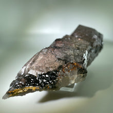 Load image into Gallery viewer, Shaman&#39;s Dream Brazil
