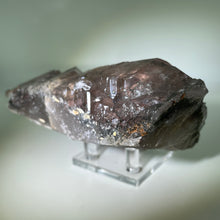 Load image into Gallery viewer, Shaman&#39;s Dream Brazil
