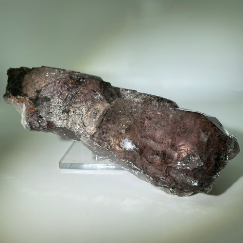 Shaman's Dream Brazil