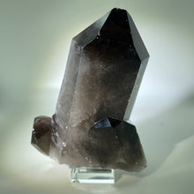 Load image into Gallery viewer, Smoky Cluster Brazil
