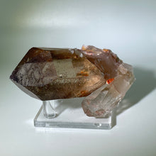 Load image into Gallery viewer, Starbrary Brazil
