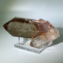 Load image into Gallery viewer, Starbrary Brazil
