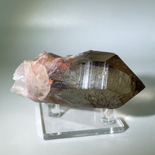 Load image into Gallery viewer, Starbrary Brazil
