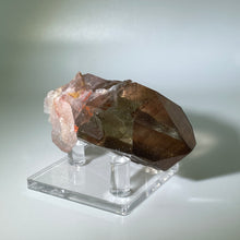 Load image into Gallery viewer, Starbrary Brazil
