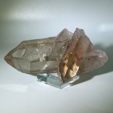 Load image into Gallery viewer, Starbrary With Penetrator Brazil
