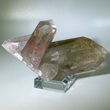 Load image into Gallery viewer, Starbrary With Penetrator Brazil
