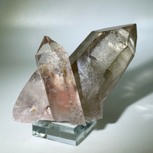 Load image into Gallery viewer, Starbrary With Penetrator Brazil
