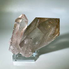 Load image into Gallery viewer, Starbrary With Penetrator Brazil
