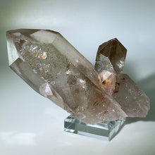 Load image into Gallery viewer, Starbrary With Penetrator Brazil
