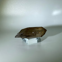 Load image into Gallery viewer, Shadow Healer Smoky Lemurian Brazil
