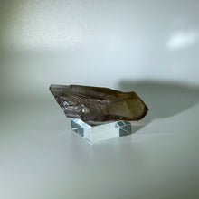 Load image into Gallery viewer, Shadow Healer Smoky Lemurian Brazil

