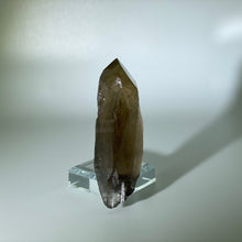 Load image into Gallery viewer, Shadow Healer Smoky Lemurian Brazil
