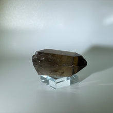 Load image into Gallery viewer, Shadow Healer Smoky Lemurian Brazil
