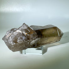 Load image into Gallery viewer, Shadow Healer Smoky Lemurian
