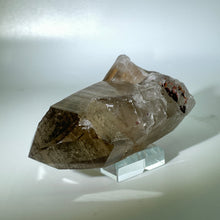 Load image into Gallery viewer, Shadow Healer Smoky Lemurian
