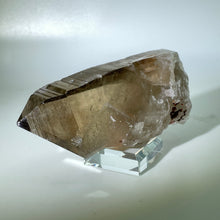 Load image into Gallery viewer, Shadow Healer Smoky Lemurian
