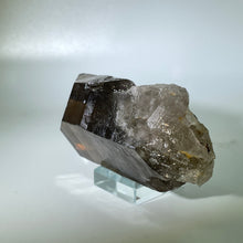 Load image into Gallery viewer, Shadow Healer Smoky Lemurian
