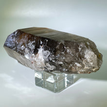 Load image into Gallery viewer, Shadow Healer Smoky Lemurian
