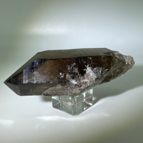 Shadow Healer Smoky Lemurian