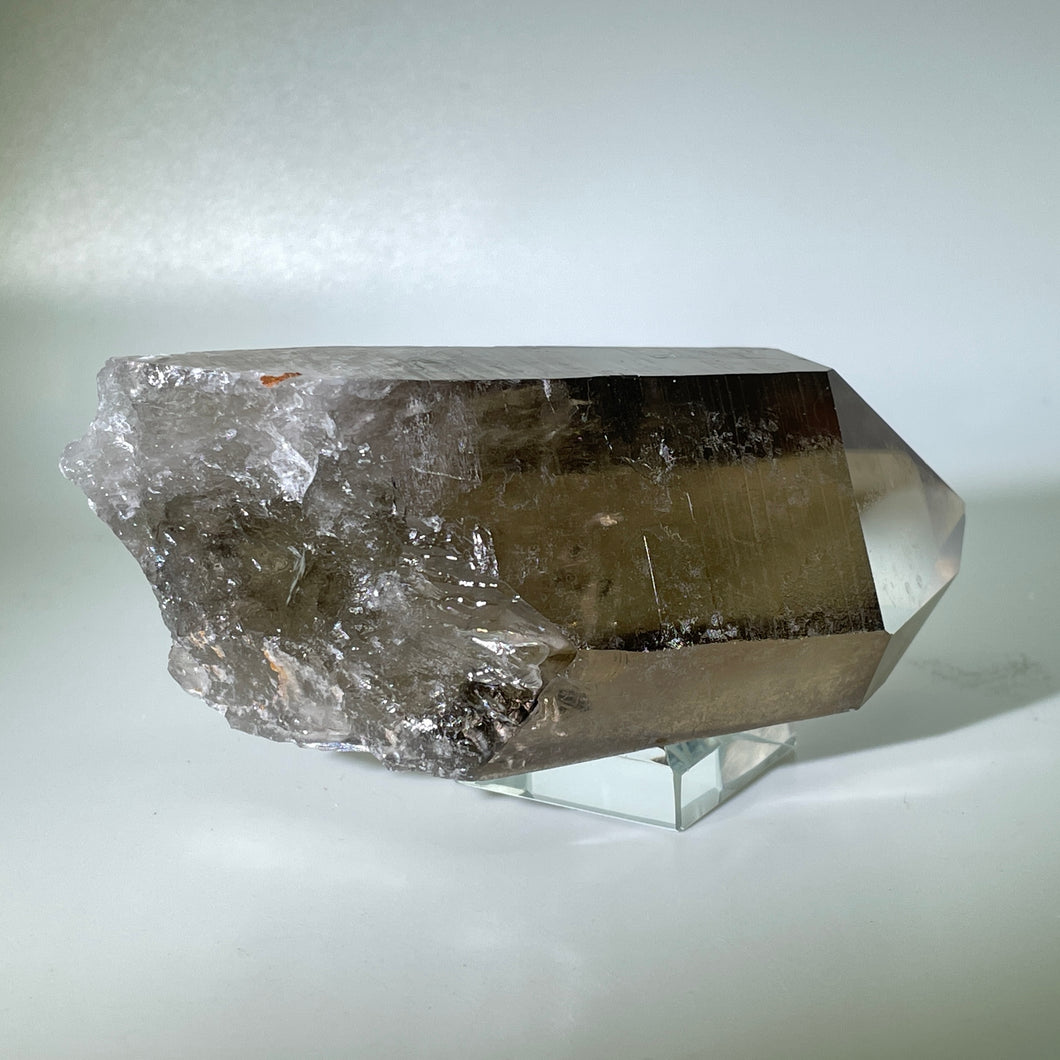 Shadow Healer Smoky Lemurian