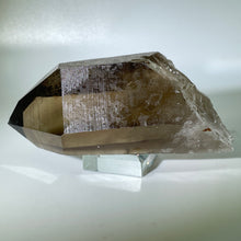 Load image into Gallery viewer, Shadow Healer Smoky Lemurian
