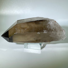 Load image into Gallery viewer, Shadow Healer Smoky Lemurian
