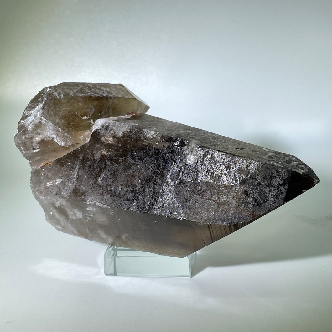 Shadow Healer Smoky Lemurian