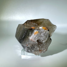 Load image into Gallery viewer, Shadow Healer Smoky Lemurian
