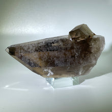 Load image into Gallery viewer, Shadow Healer Smoky Lemurian
