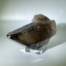 Load image into Gallery viewer, Shadow Healer Smoky Lemurian
