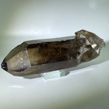 Load image into Gallery viewer, Shadow Healer Smoky Lemurian
