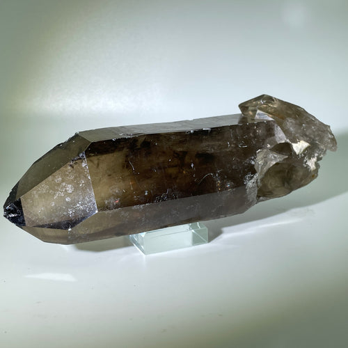 Shadow Healer Smoky Lemurian