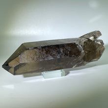 Load image into Gallery viewer, Shadow Healer Smoky Lemurian
