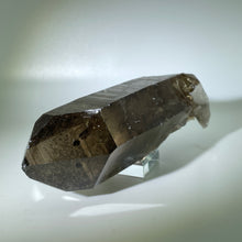 Load image into Gallery viewer, Shadow Healer Smoky Lemurian
