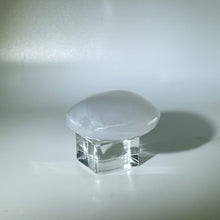 Load image into Gallery viewer, Selenite Palm Stone
