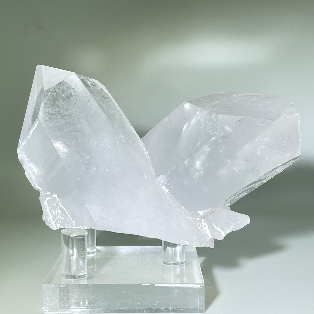 Starbrary Friends Crystal