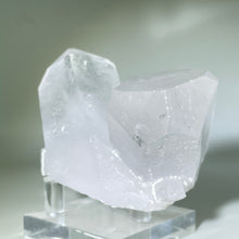 Load image into Gallery viewer, Starbrary Friends Crystal
