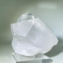 Load image into Gallery viewer, Starbrary Friends Crystal
