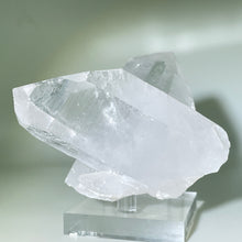 Load image into Gallery viewer, Starbrary Friends Crystal
