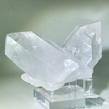 Load image into Gallery viewer, Starbrary Friends Crystal
