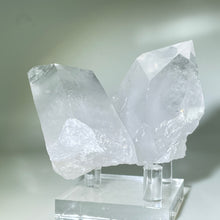 Load image into Gallery viewer, Starbrary Friends Crystal
