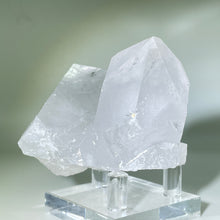 Load image into Gallery viewer, Starbrary Friends Crystal
