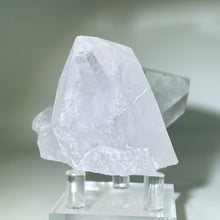 Load image into Gallery viewer, Starbrary Friends Crystal
