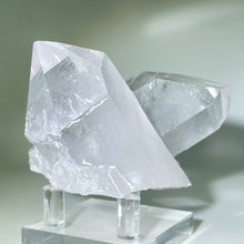 Load image into Gallery viewer, Starbrary Friends Crystal
